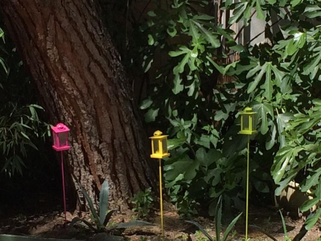 Garden Hotel トゥールーズ エクステリア 写真